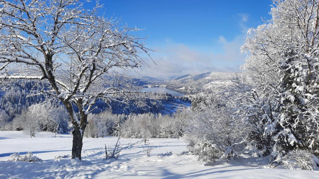 Les Dryades Gerardmer Exterior photo