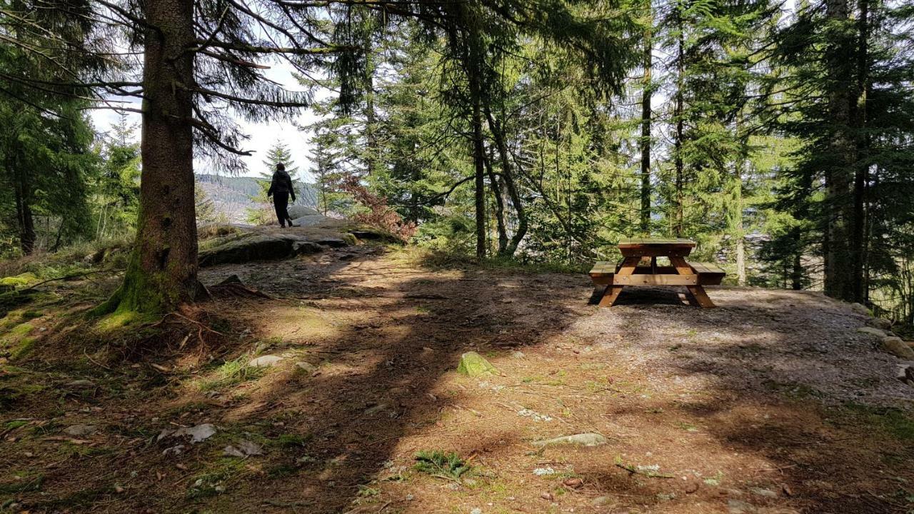 Les Dryades Gerardmer Exterior photo