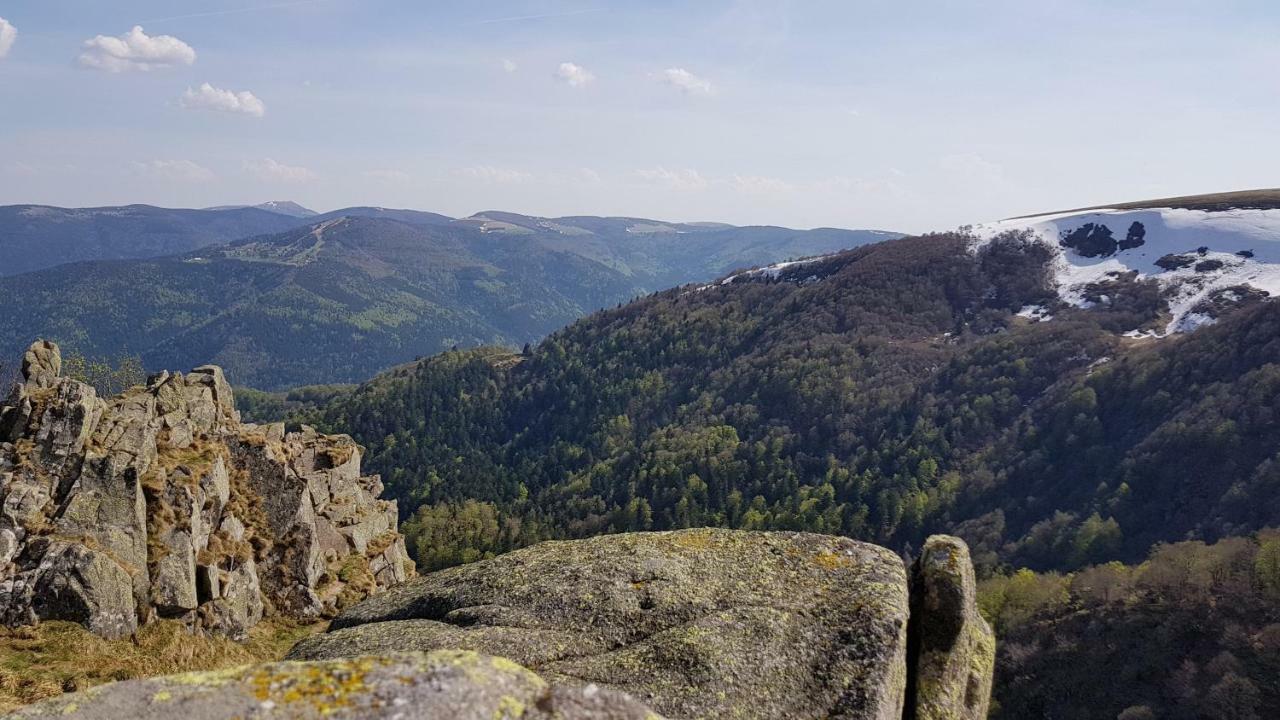 Les Dryades Gerardmer Exterior photo