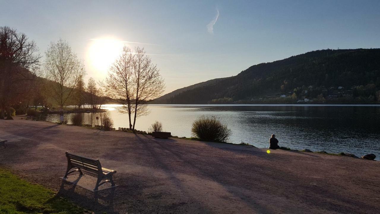 Les Dryades Gerardmer Exterior photo