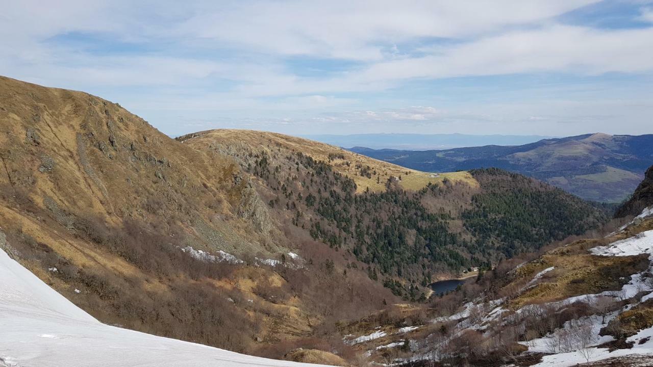 Les Dryades Gerardmer Exterior photo
