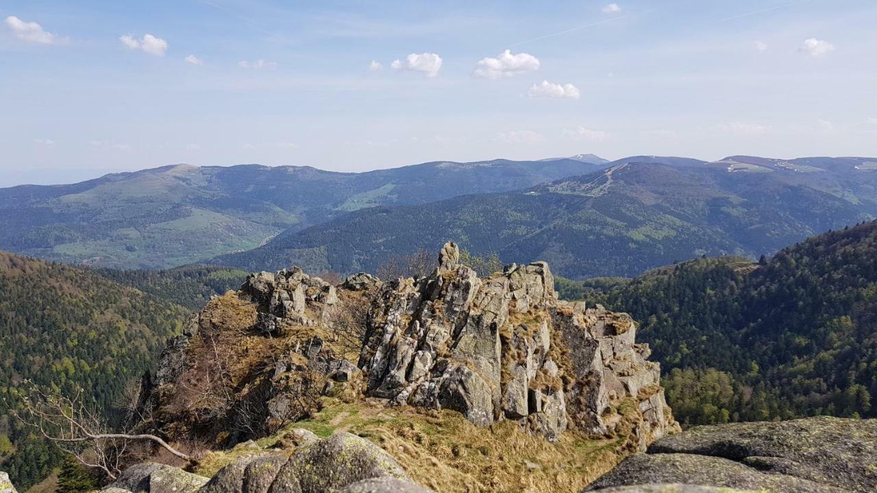 Les Dryades Gerardmer Exterior photo